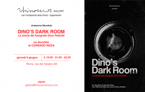 Dino's dark room